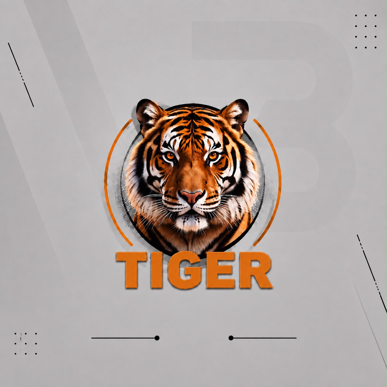 تايقر Tiger TV
