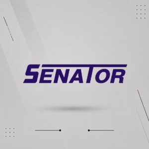 سيناتور senator
